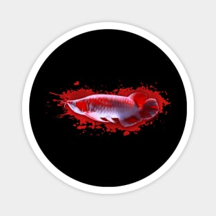 Super Red Arowana Magnet